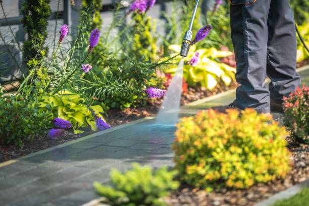 Best Dumpster Area Cleaning  in East Williston, NY