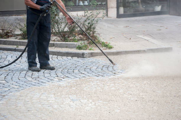 Best Driveway Pressure Washing  in East Williston, NY